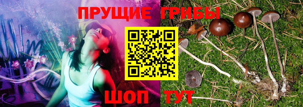 Галлюциногенные грибы ЛСД  как найти   Вход с VPN  Уссурийск  Галлюциногенные грибы прущие грибы 